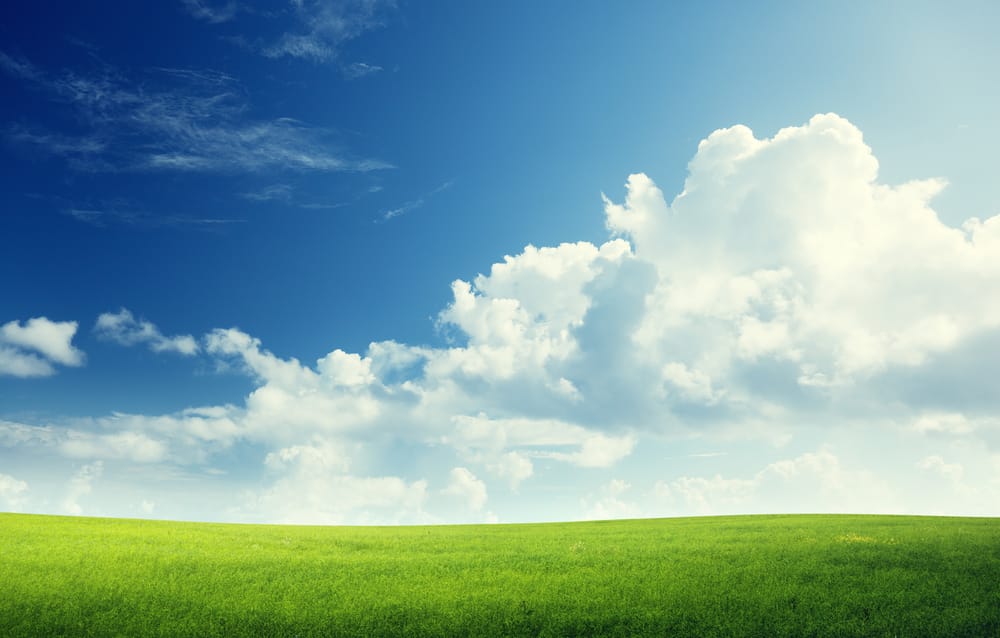 Don’t Cloud Your Judgement